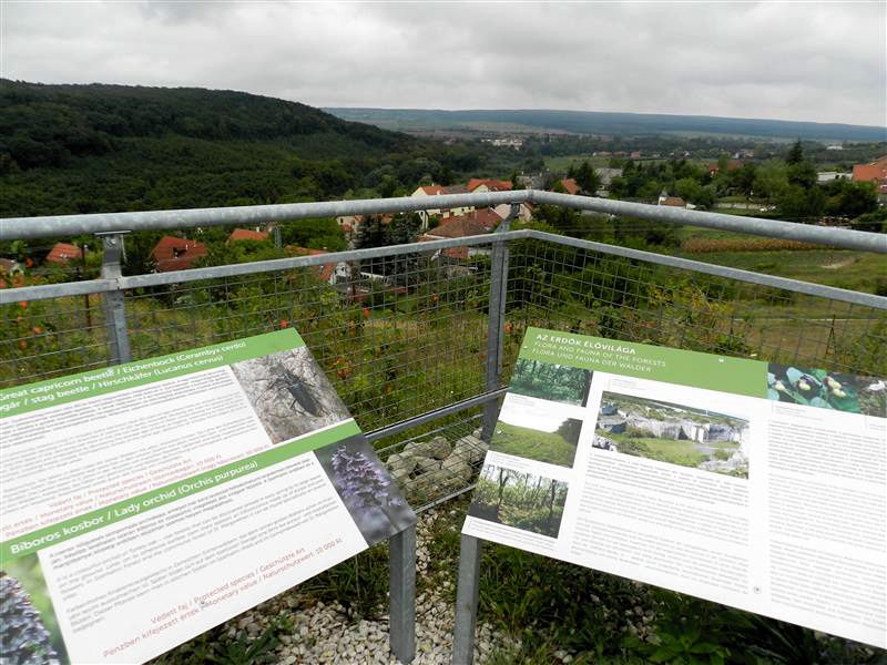 Węgry Austria kamieniołom Fertorakos. Panorama ze szczytu